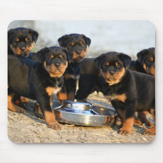 rottweiler Welpen Mousepad (Vorne)