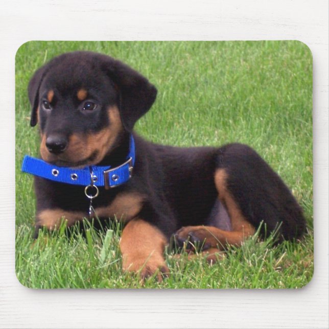 rottweiler Welpen Mousepad (Vorne)