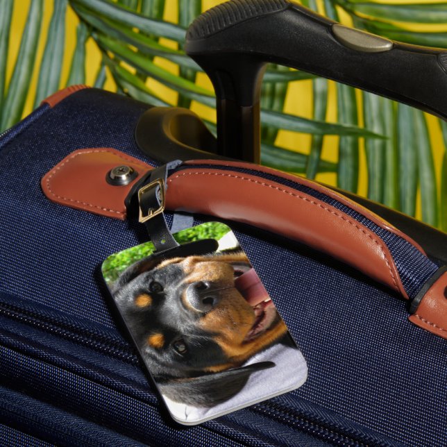 Rottweiler Welpengesicht Hund Niedlich Gepäckanhänger (Vorderseite Insitu 1)