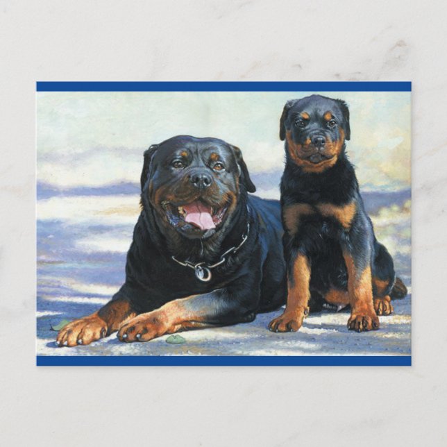 Rottweiler Welpenhund Leere Postkarte (Vorderseite)