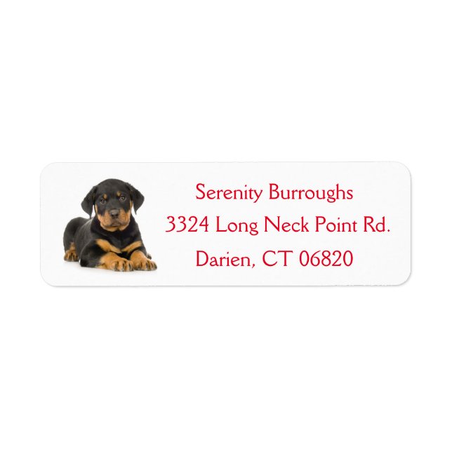 Rottweiler Welpenhund Red Canine Address Label (Vorne)