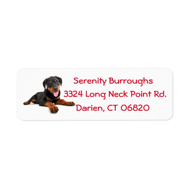 Rottweiler Welpenhund Red Canine Address Label (Vorne)