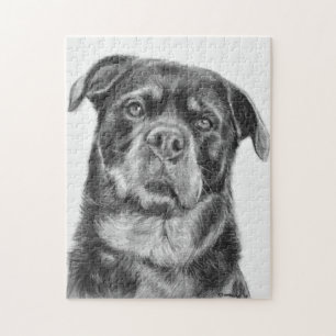 Rottweiler Zeichnen Puzzle