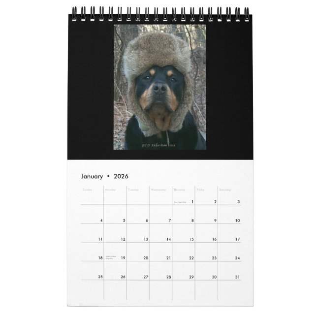 Rottweilers 2014 durch Diane-Kalender Kalender (Jan 2026)