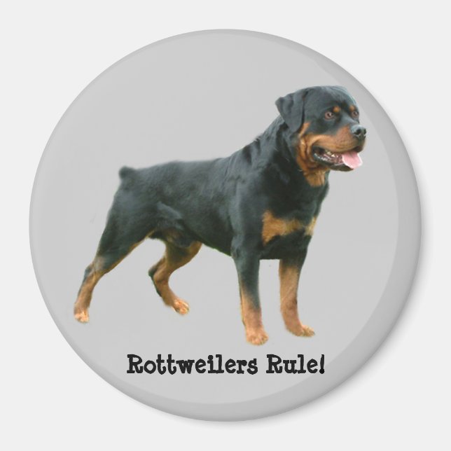 Rottweilers Rule Magnet (Vorne)