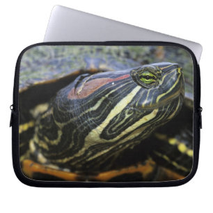 Rotwangen-Schmuckschildkröte, Trachemys scripta el Laptopschutzhülle
