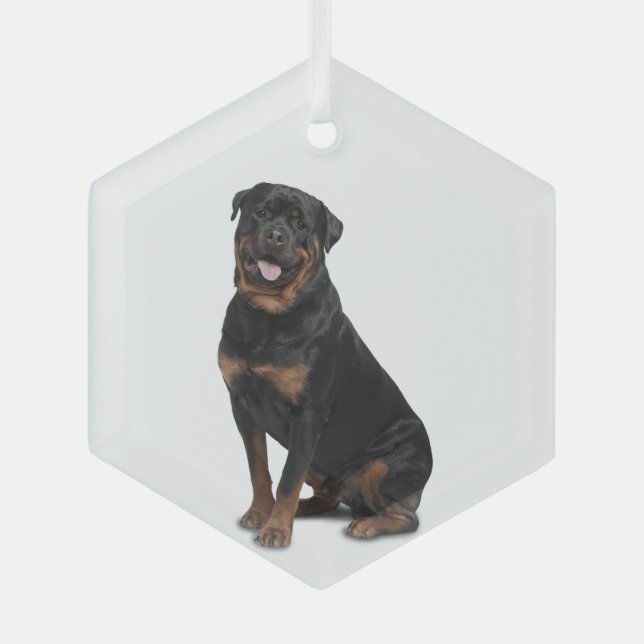 Rotweiller Hund Tierglas-Ornament Ornament Aus Glas (Vorderseite)