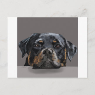 Rotweiller Postkarte