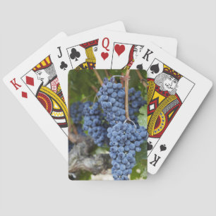 Rotweintrauben auf der Rebe Spielkarten