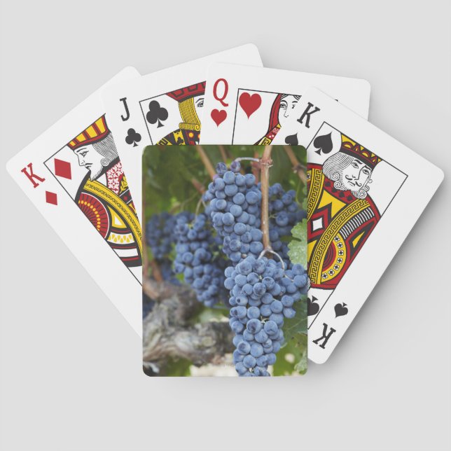 Rotweintrauben auf der Rebe Spielkarten (Rückseite)