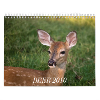 ROTWILD 2010 KALENDER