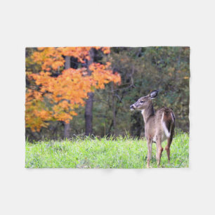 Rotwild auf dem Herbst-Gebiet Fleecedecke