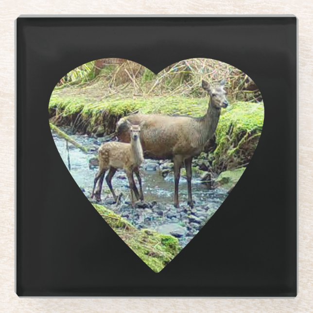 Rotwild Doe and Baby Deer Glass Untersetzer (Vorderseite)