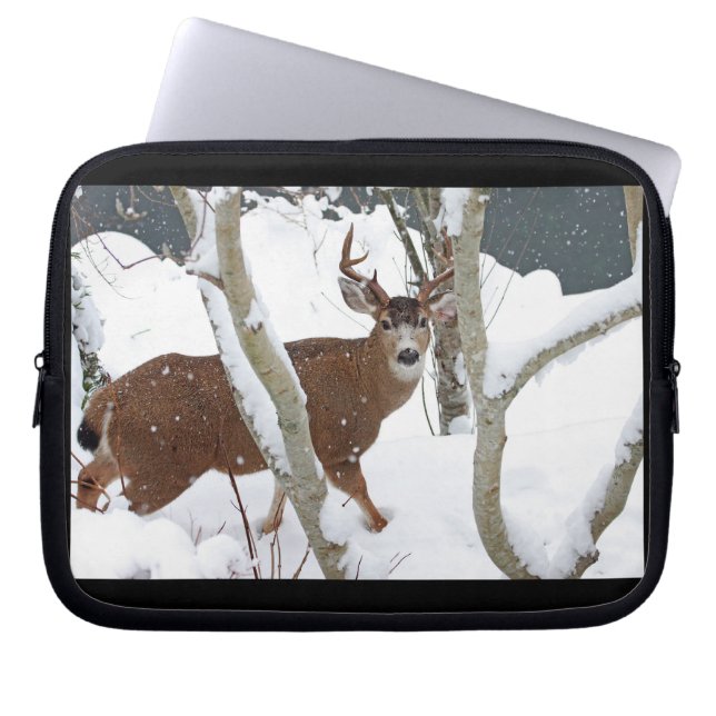 Rotwild-Dollar im Schnee im Winter Laptopschutzhülle (Vorderseite)