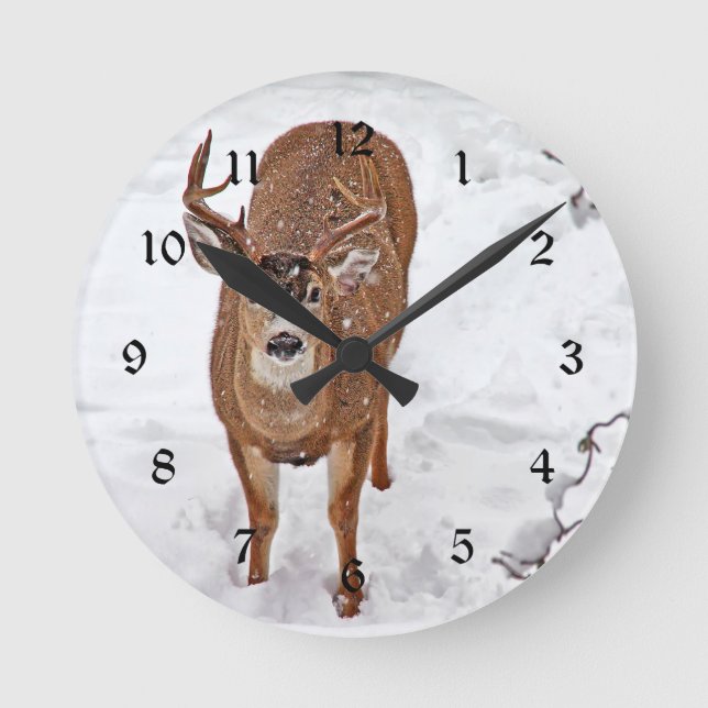 Rotwild-Dollar im Winter-Schnee Runde Wanduhr (Vorderseite)
