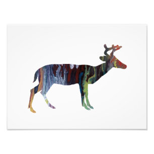 Rotwild Fotodruck