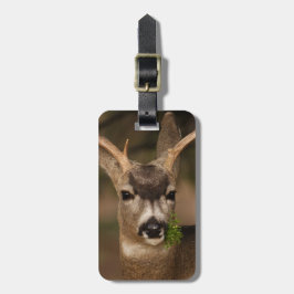 Rotwild Gepäckanhänger