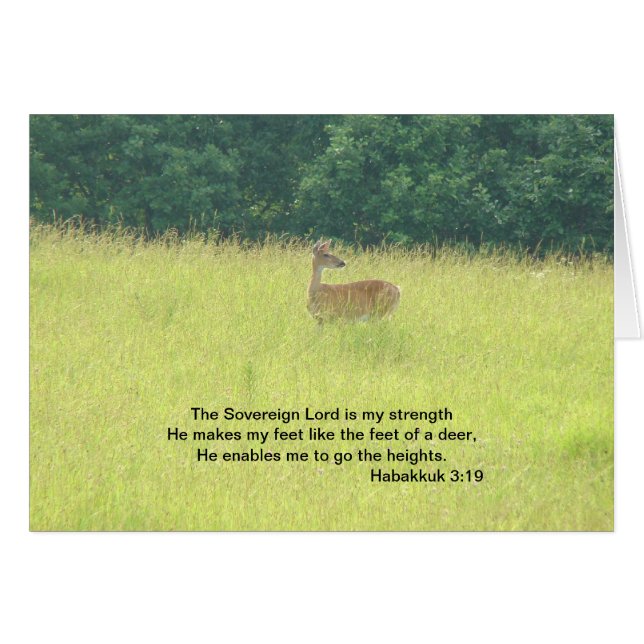 Rotwild: Habakkuk 3:19 (Vorderseite (Horizontal))