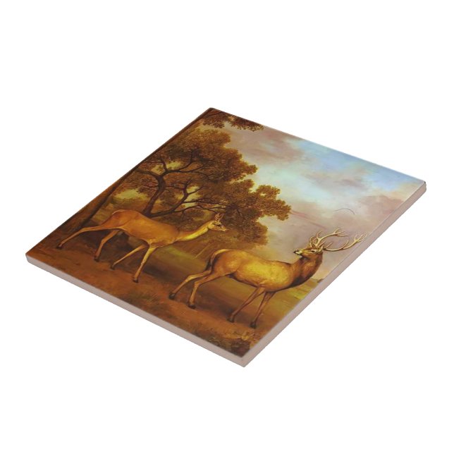 Rotwild-Hirsch Georges Stubbs- und Hinter Fliese (Seite)