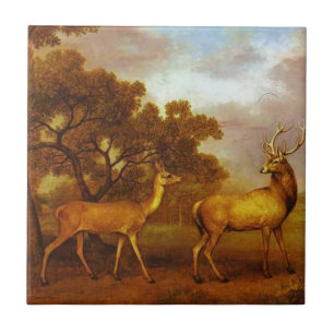 Rotwild-Hirsch und Hinter durch George Stubbs Fliese