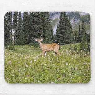 Rotwild im Paradies-Park Mousepad