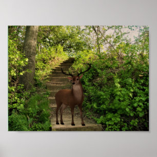 Rotwild im Wald Poster