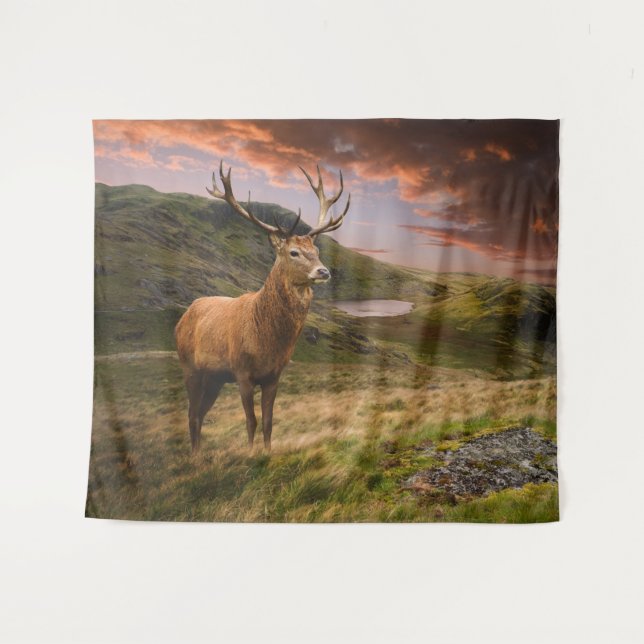 Rotwild in einer dramatischen Berglandschaft Wandteppich (Vorderseite (Horizontal))