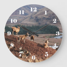 Rotwild in Glen Etive, Highlands of Scotland