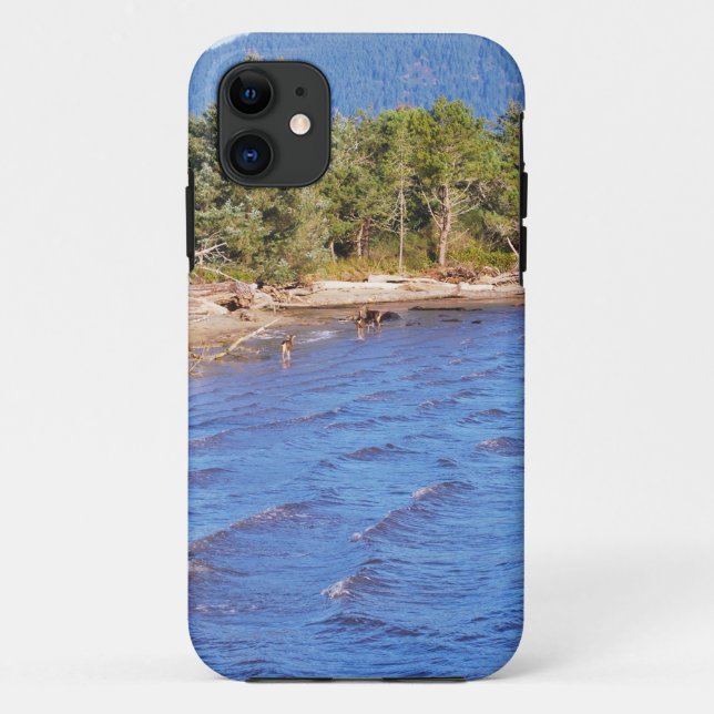 Rotwild in Nehalem Bucht - Oregon-Staats-Park Case-Mate iPhone Hülle (Rückseite)