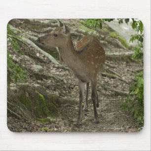 Rotwild Mousepad