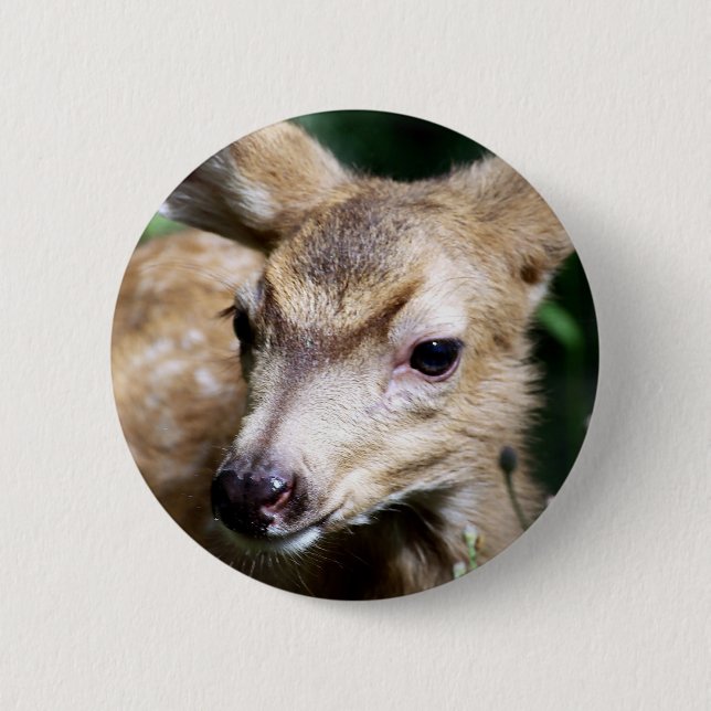 Rotwild-Nahaufnahme Button (Vorderseite)