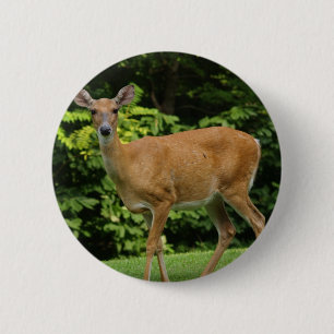 Rotwild-runder Knopf Button