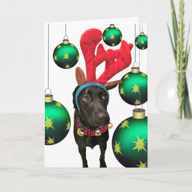 Rotwild Sankt Feiertagskarte (Vorderseite)