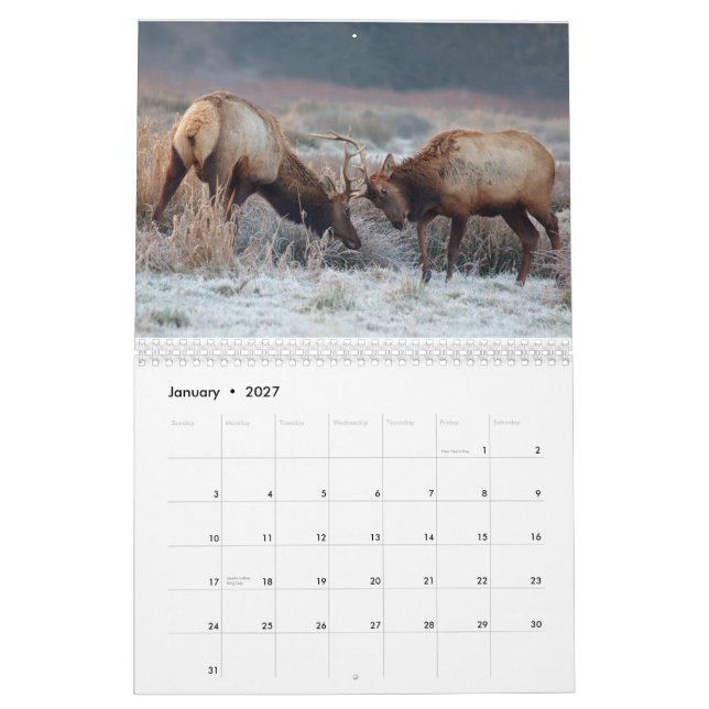 Rotwild-und der Elch-2015 Wandkalender - wild (Jan 2027)
