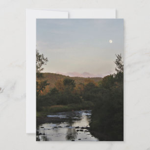 Rotwild unter dem Mond