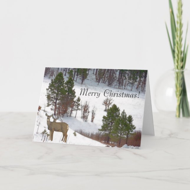 Rotwild-Weihnachtskarte Feiertagskarte (Vorderseite)