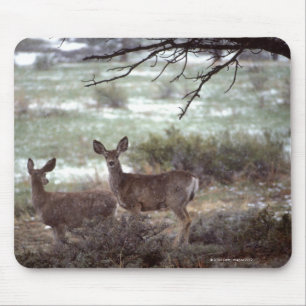 Rotwildbetrieb Mousepad