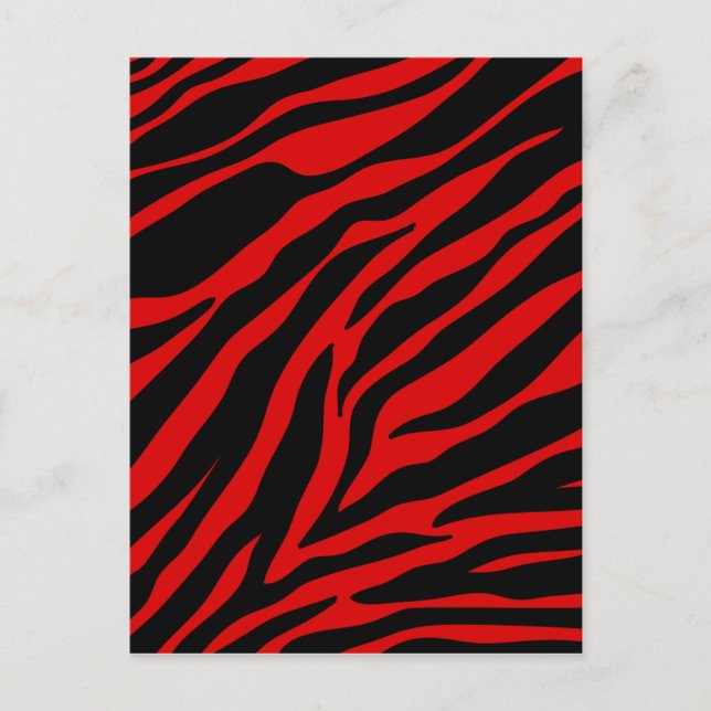 Rotzebra Postkarte (Vorderseite)