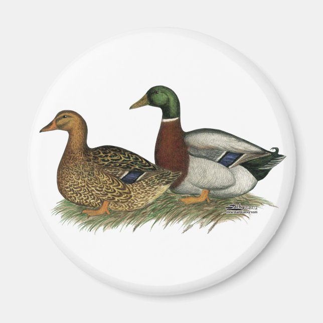 Rouen Ducks Magnet (Vorne)