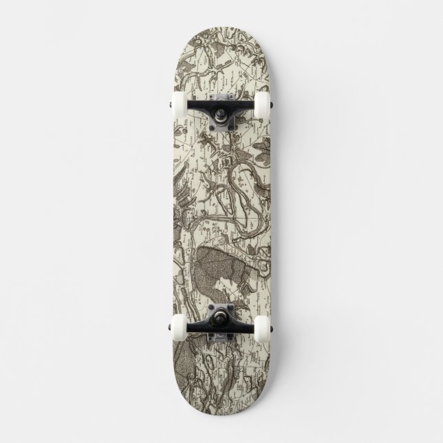 Rouen Skateboard (Vorderseite)