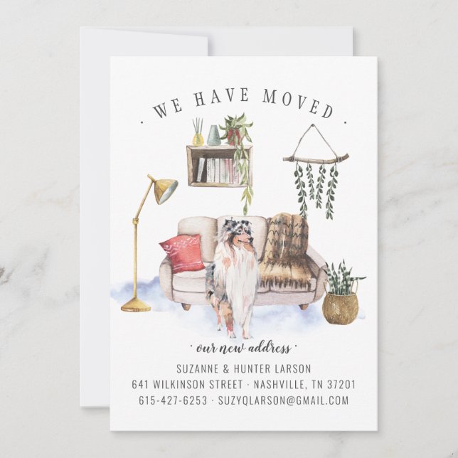 Rough Collie | Ankündigung der Beförderung (Vorderseite)