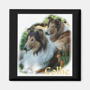 Rough Collie Art Gaben Magnet