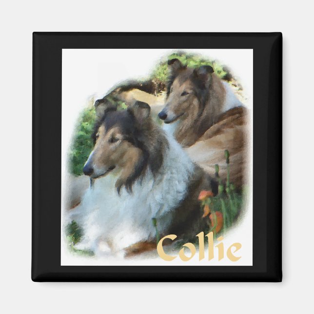 Rough Collie Art Gaben Magnet (Vorne)