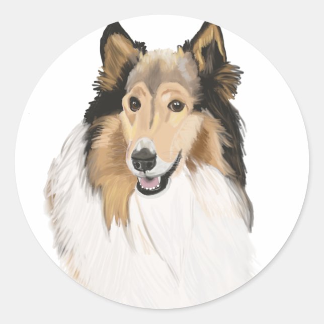 Rough Collie, Collie-Portrait, lang haarig Runder Aufkleber (Vorderseite)