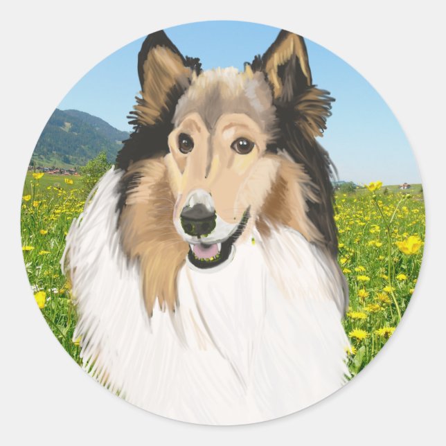 Rough Collie, Collie-Portrait, lang haarig Runder Aufkleber (Vorderseite)