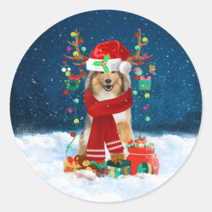 Rough Collie Dog in Snow mit Weihnachtsgeschenken Runder Aufkleber