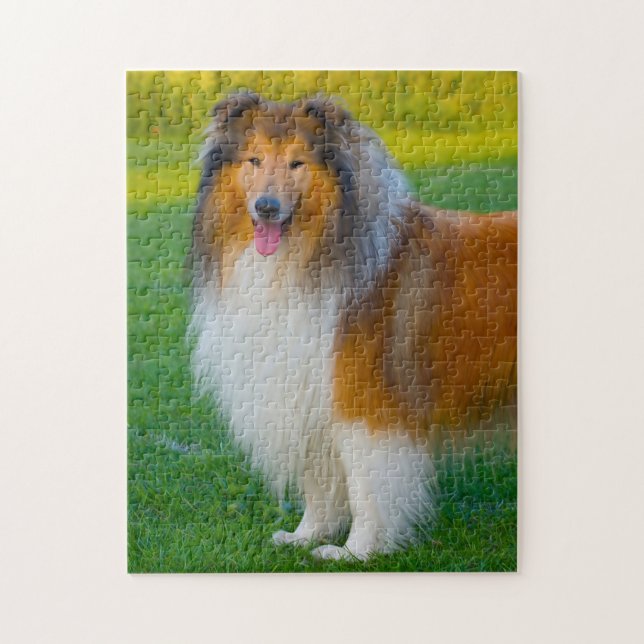 Rough Collie Dog Jigsaws. Puzzle (Vertikal)