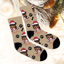 Rough Collie Dog Personalisiertes Weihnachtsgesche Socken