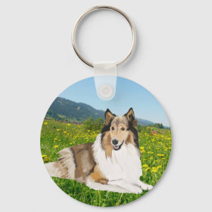 Rough Collie gegen eine Schmetterlingswiese. Schlüsselanhänger