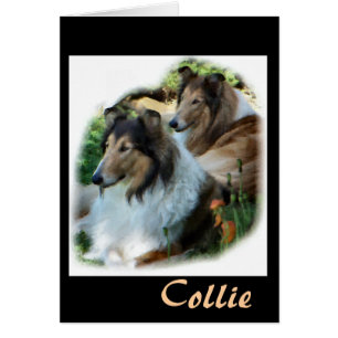 Rough Collie Geschenk der Kunst